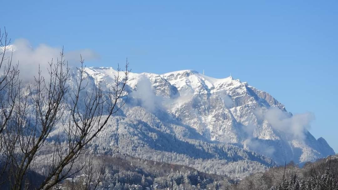 Sinaia Alpineview Residence Exterior foto